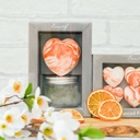 Heart Shaped Fragrance Diffuser - Zesty Citrus (Pack of 4)