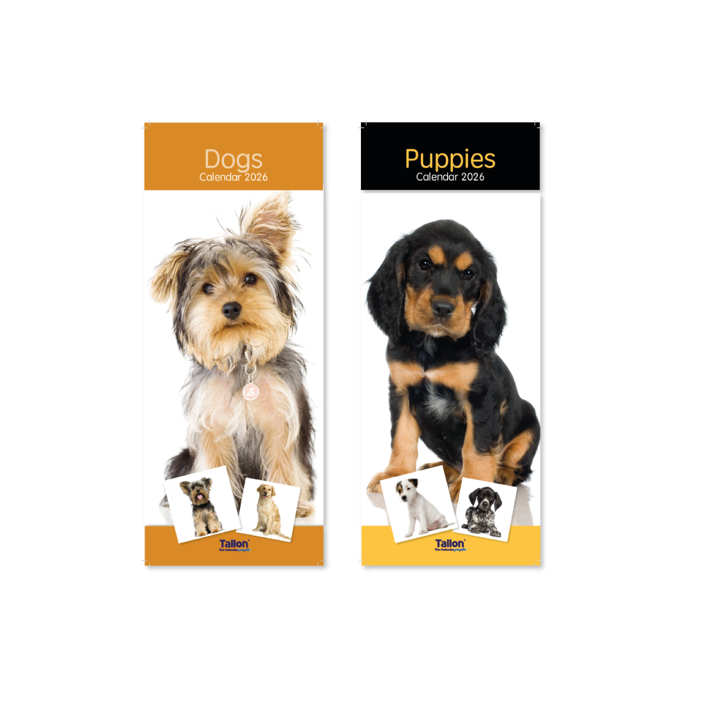 Super Slim Calendar 2025 Cats & Dogs 