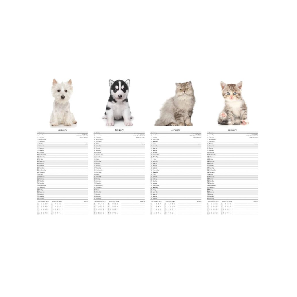 Super Slim Calendar 2025 Cats & Dogs 