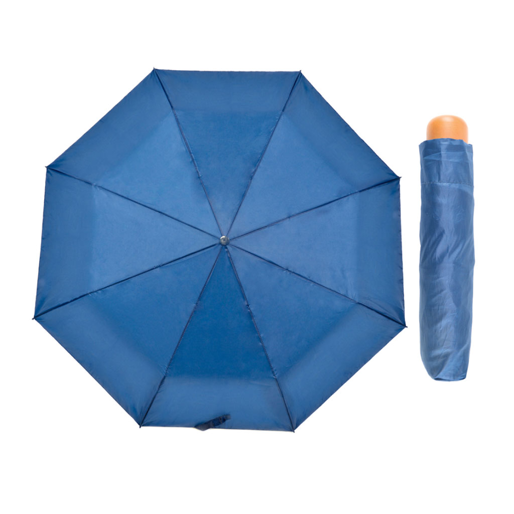 Plain Wood Handle Umbrella Display