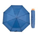 Plain Wood Handle Umbrella Display