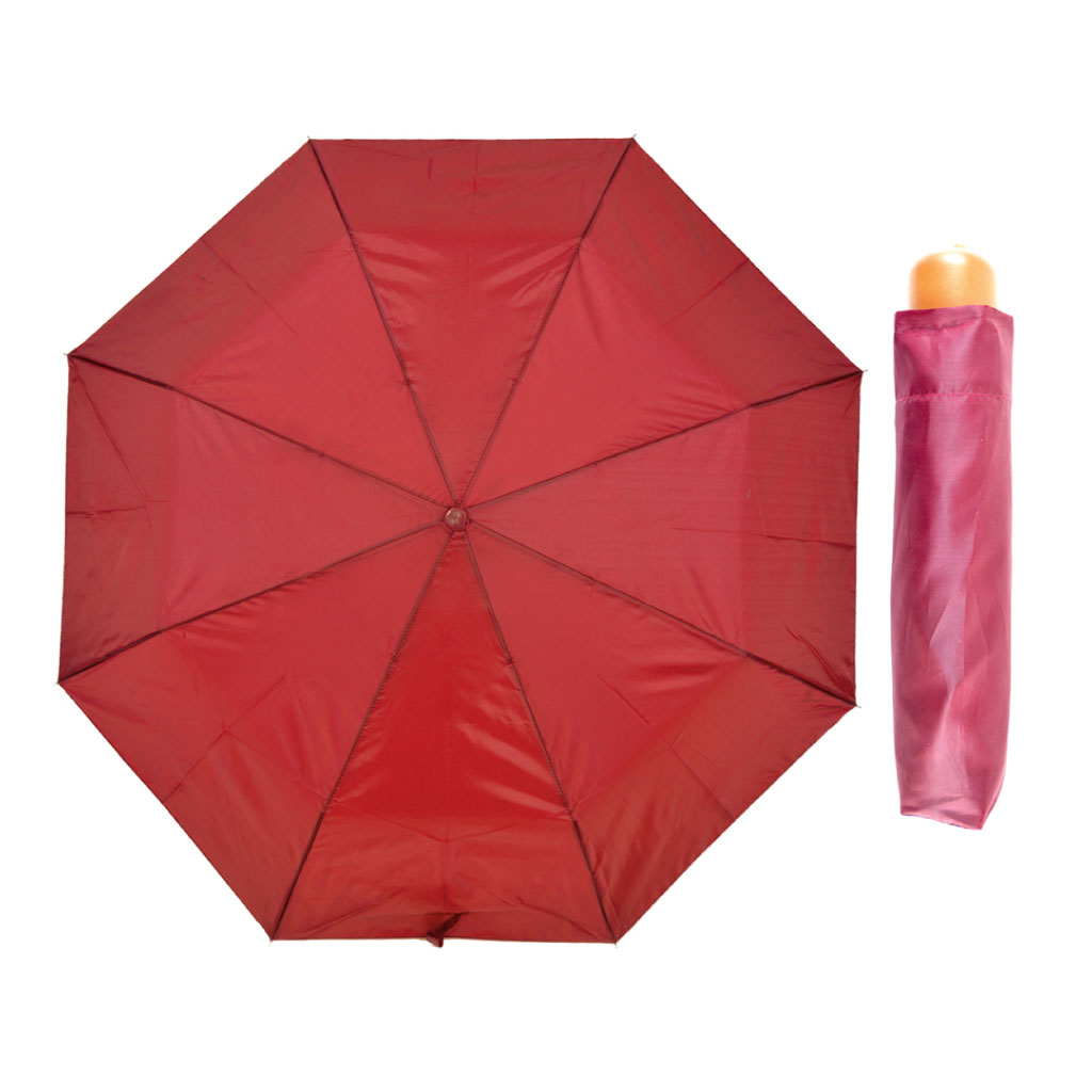 Plain Wood Handle Umbrella Display