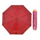 Plain Wood Handle Umbrella Display