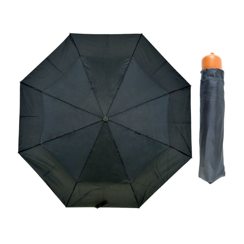 Plain Wood Handle Umbrella Display