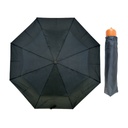 Plain Wood Handle Umbrella Display