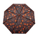 Autumn Leaves Print Umbrella 