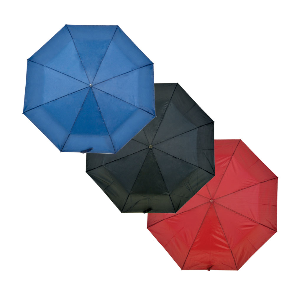 Plain Wood Handle Umbrella Display