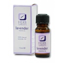Herb Garden Oil - Lavender, 10ml (Pack of 12)