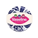 Vaseline Lip Treat Collection 